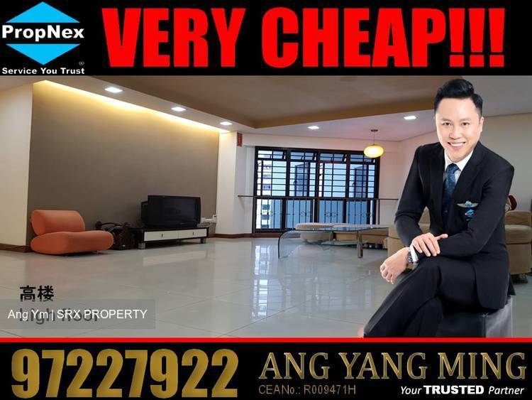 Jurong West Street 93 thumbnail photo